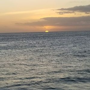 Meet your Posher, Terry